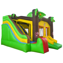 Nulla vitae eleifend