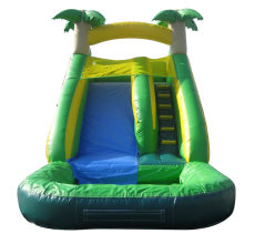 Aliquam dolor tellus Aliquam dolor tellus